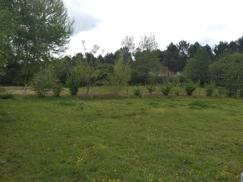 earl domaine du plec photo 2