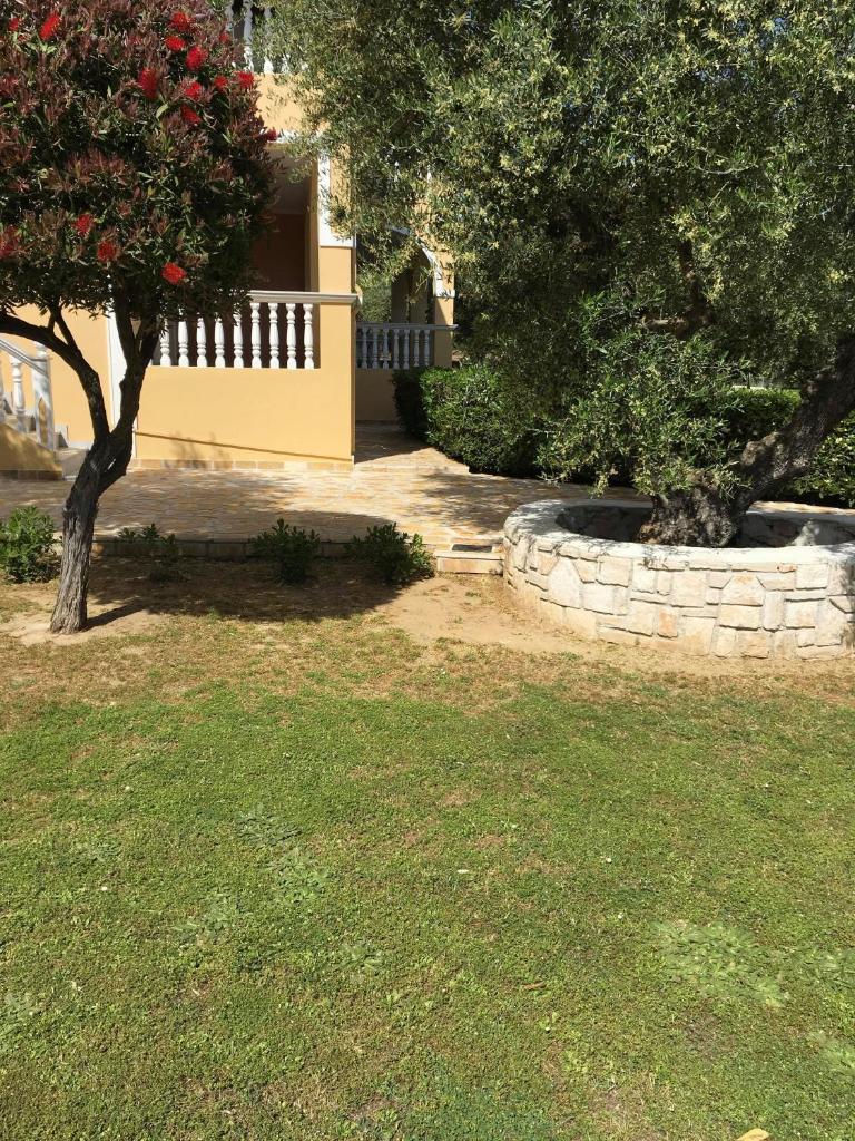 Dimaras Apartments photo 3