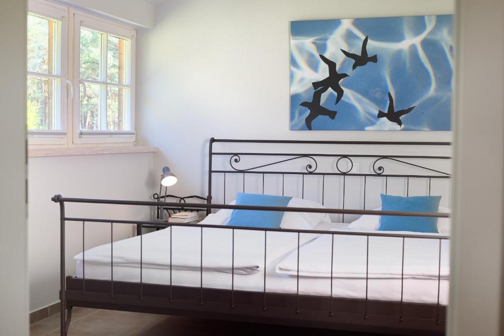 Sommerhaus Thiessow photo 1