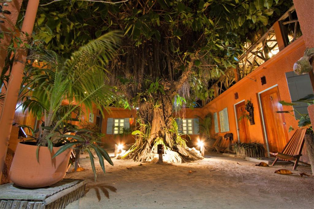 Sea Dreams Hotel photo 1