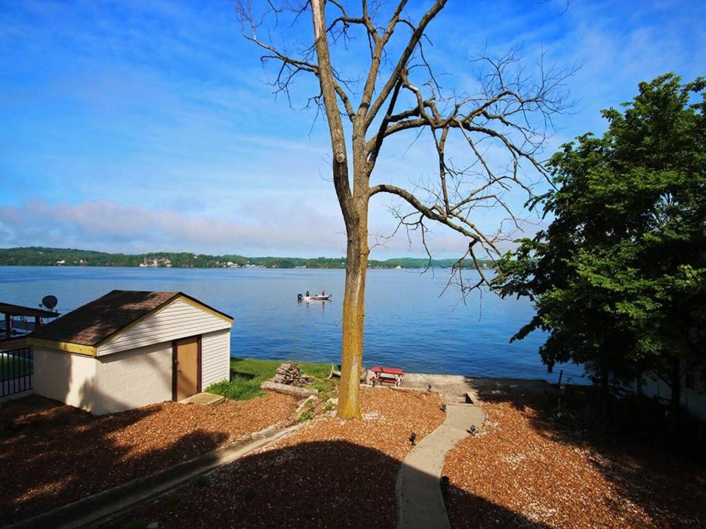 Lake Front Stunner near HToad & Shady Gators photo 2