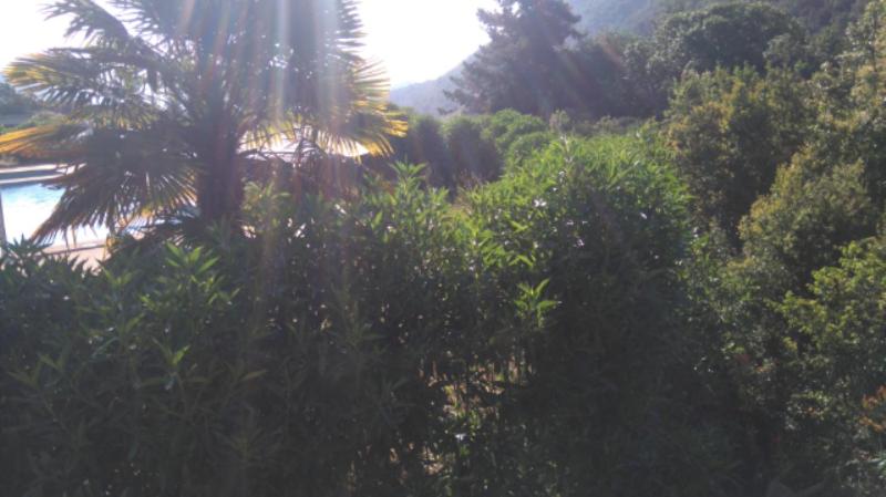 Refugios Olmue Santa Teresa photo 3