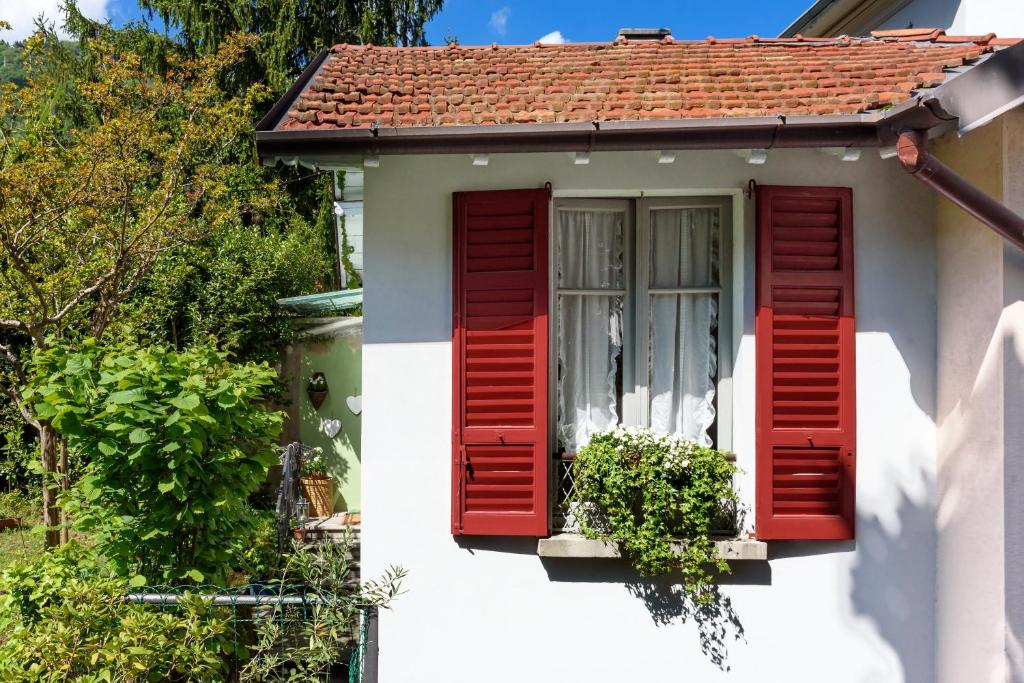 Little Garden House photo 2
