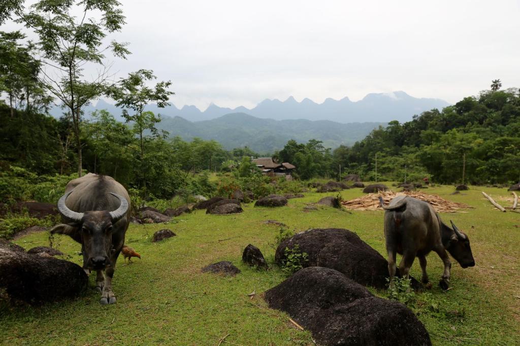 Dong Que Homestay