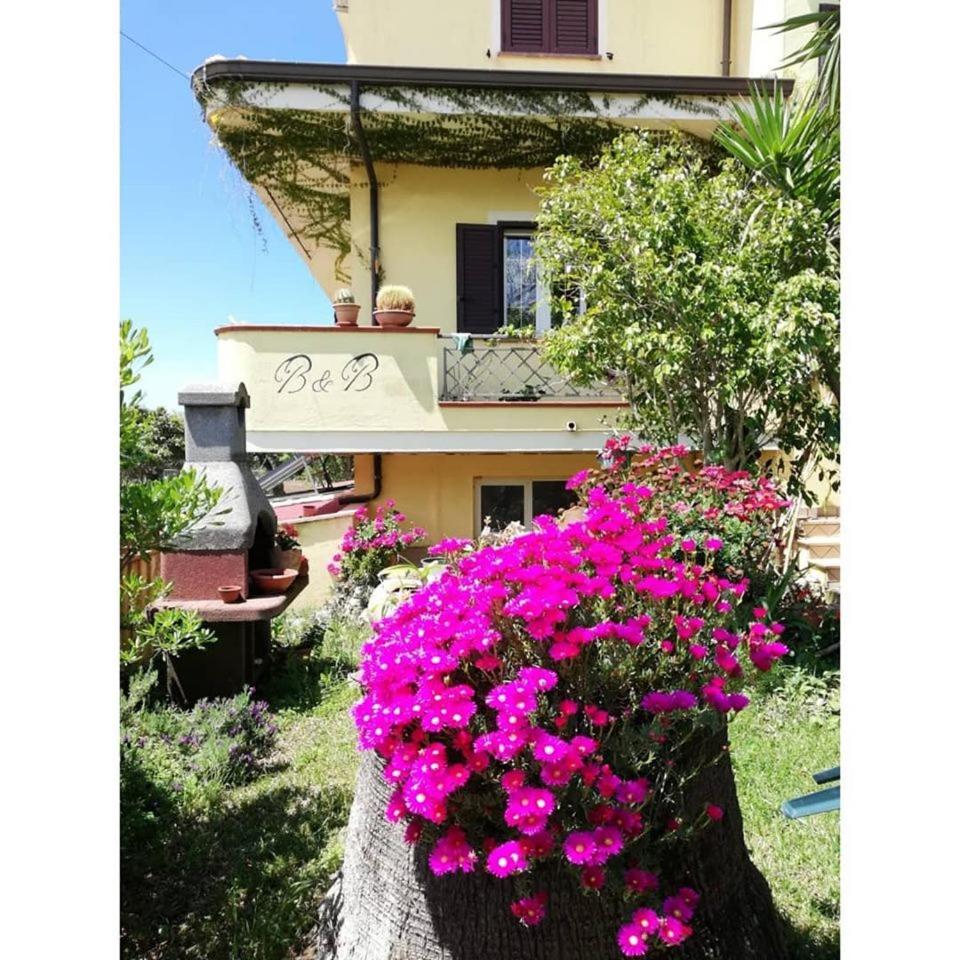 B&B Meligrana photo 2