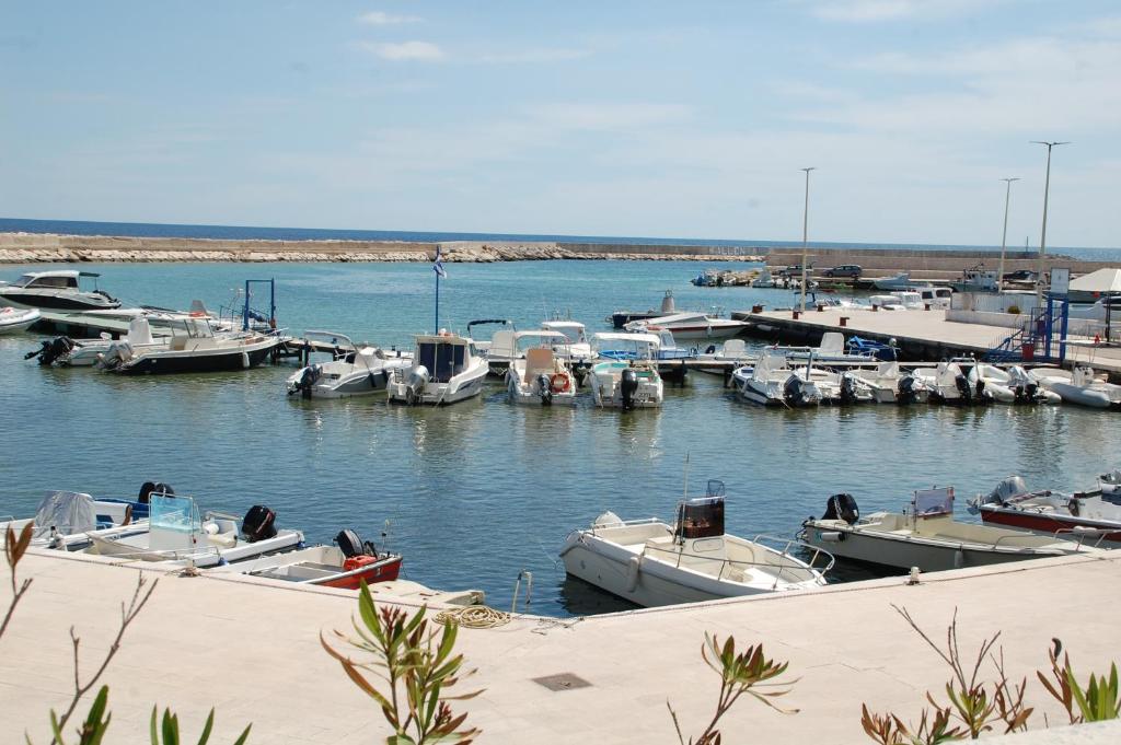 Angolo vista mare photo 2