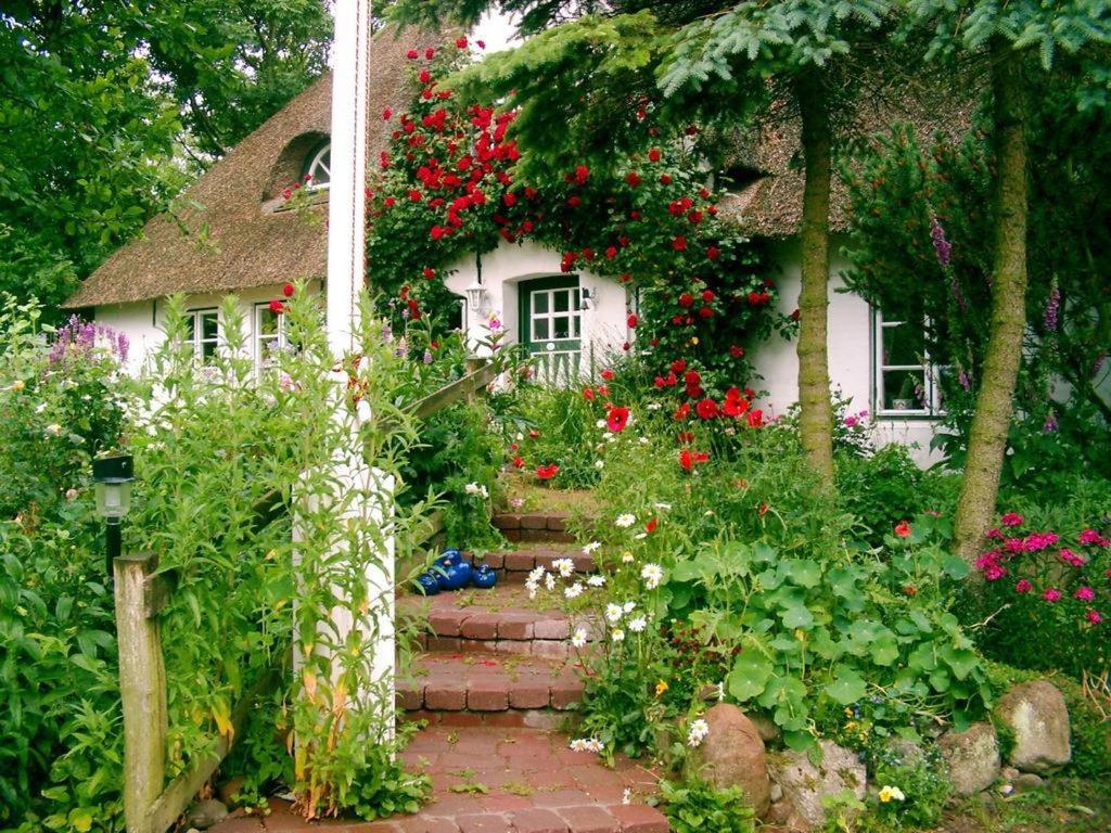 Gästehaus Andresen-Warft photo 2