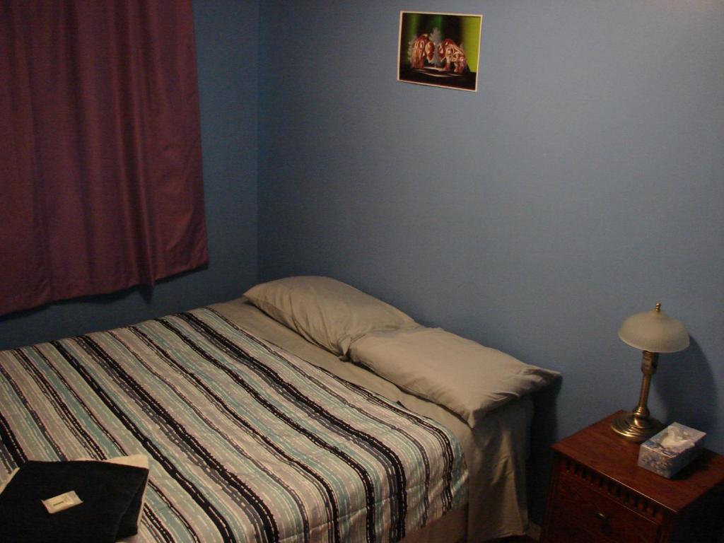 Wild North Bed & Rest photo 3