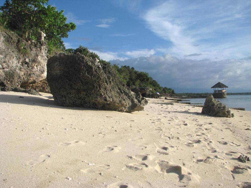 Dolphin House Resort Moalboal photo 1