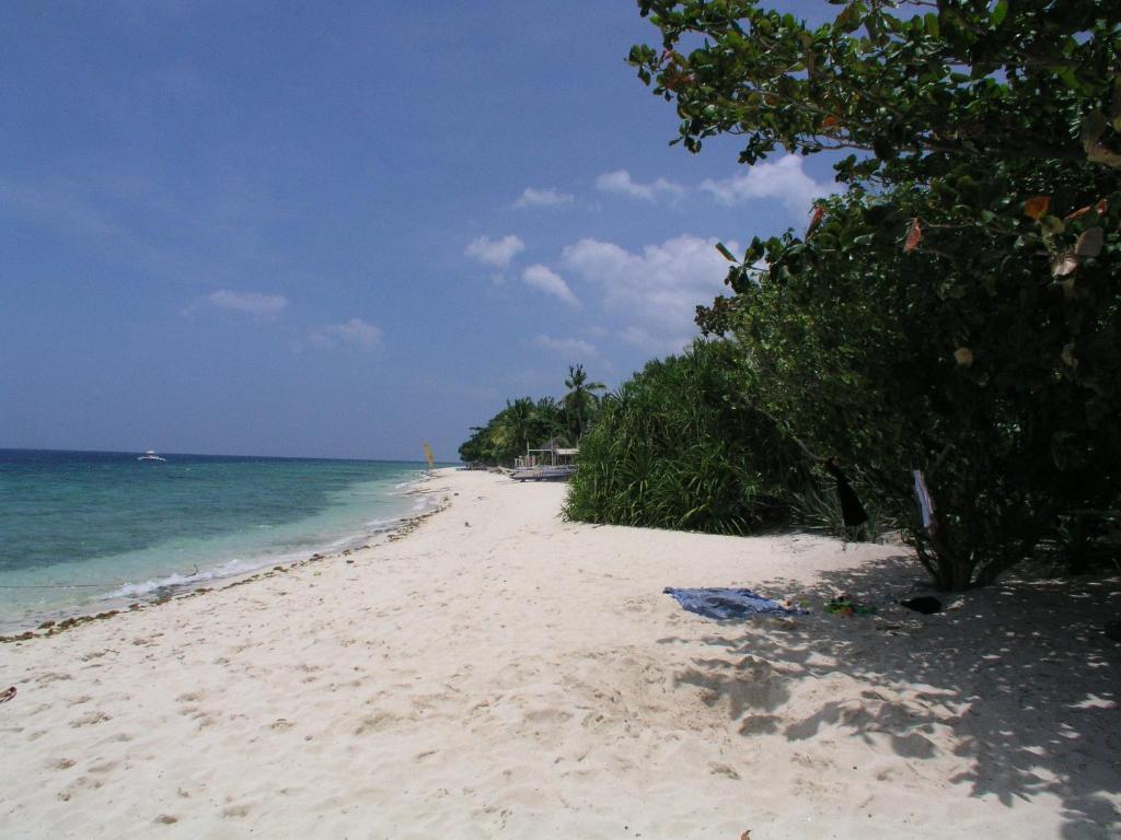 Dolphin House Resort Moalboal photo 3
