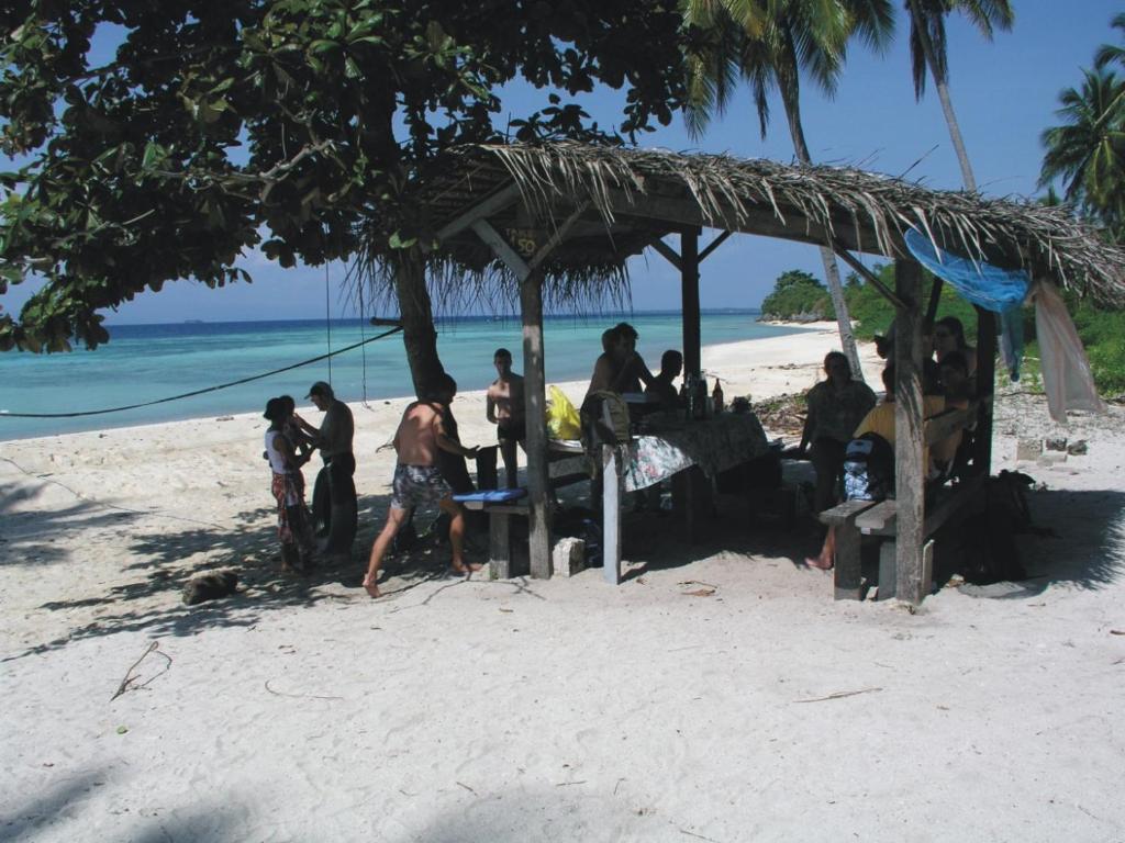 Dolphin House Resort Moalboal photo 4