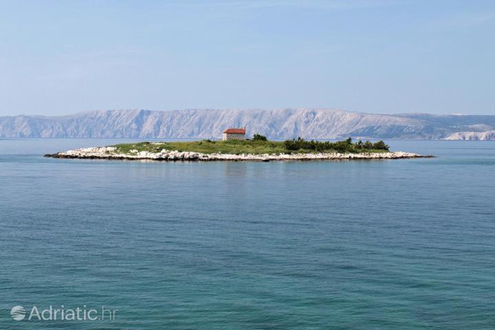 Apartman Ana photo 1