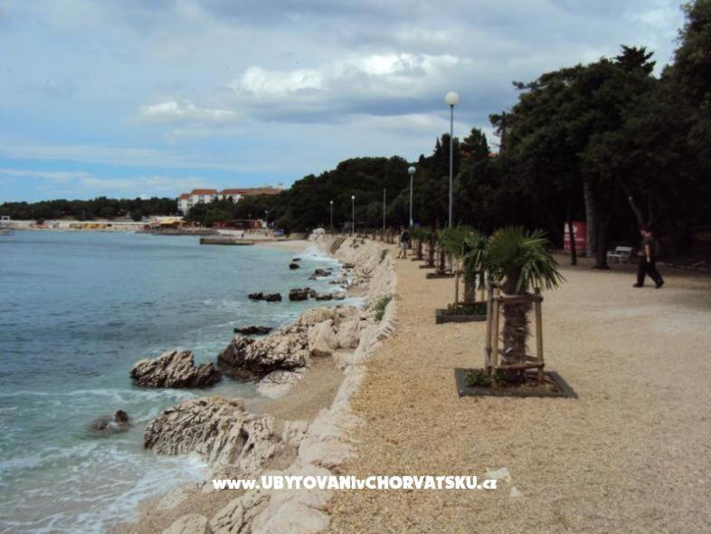 Apartman Ana photo 3