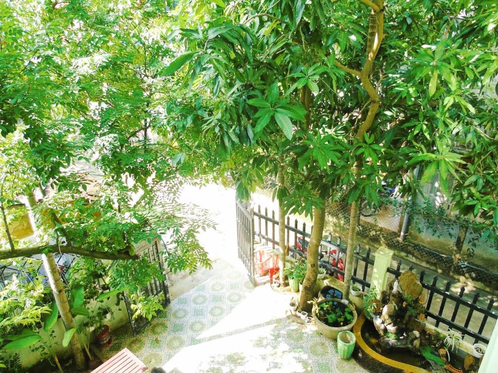 Xanh Lá Homestay Hội An