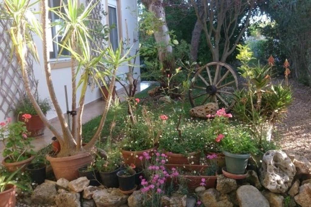 Mikros Paradisos photo 4