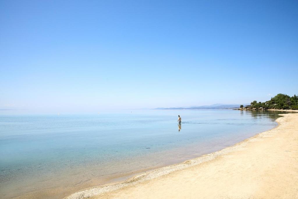Anthemus Sea Beach Hotel and Spa photo 4
