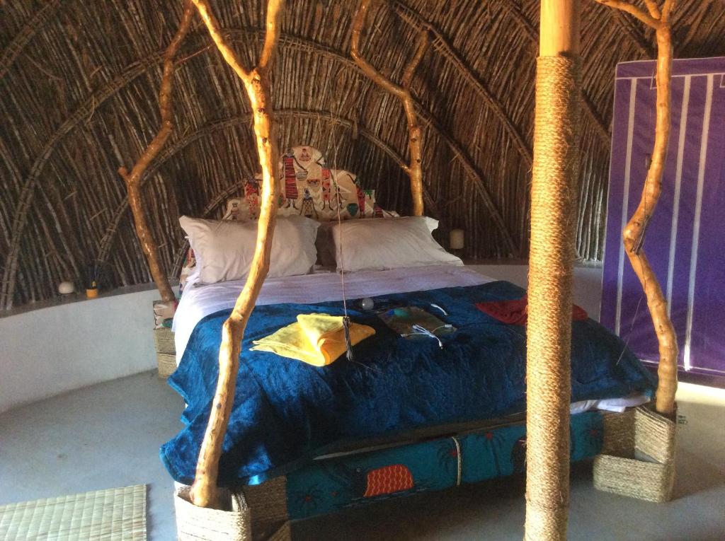 Swazi Dreams. (Nqabaneni Eco-Volunteering.) photo 2