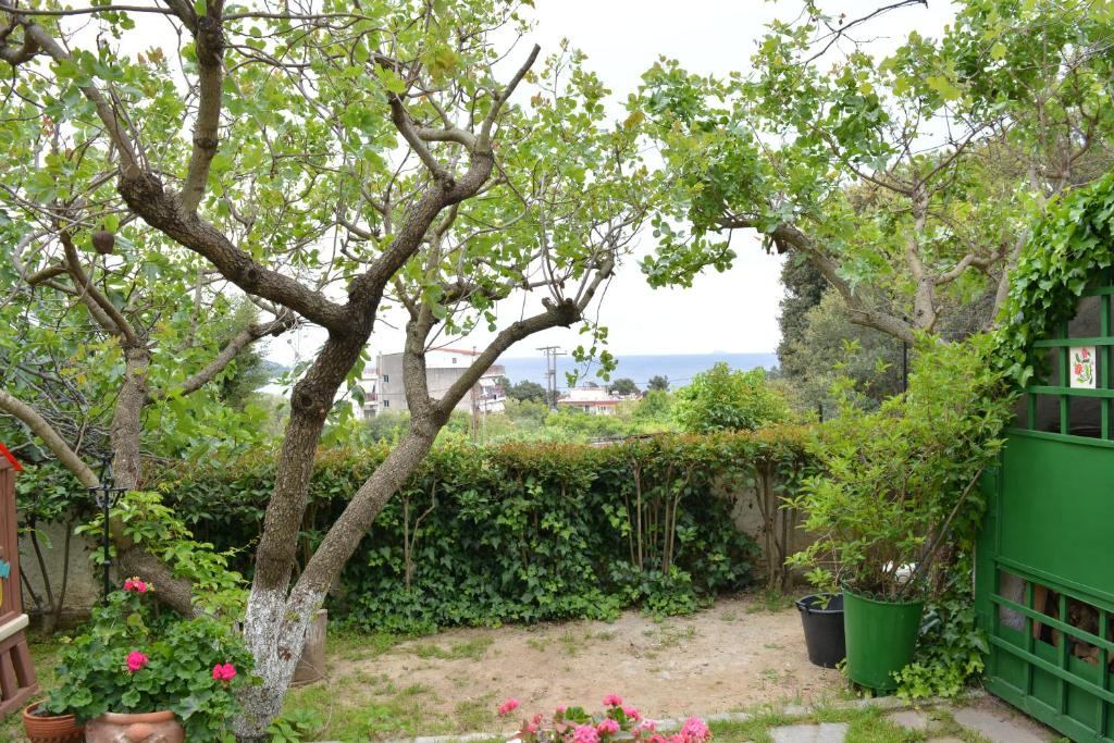 Sofia's House photo 3