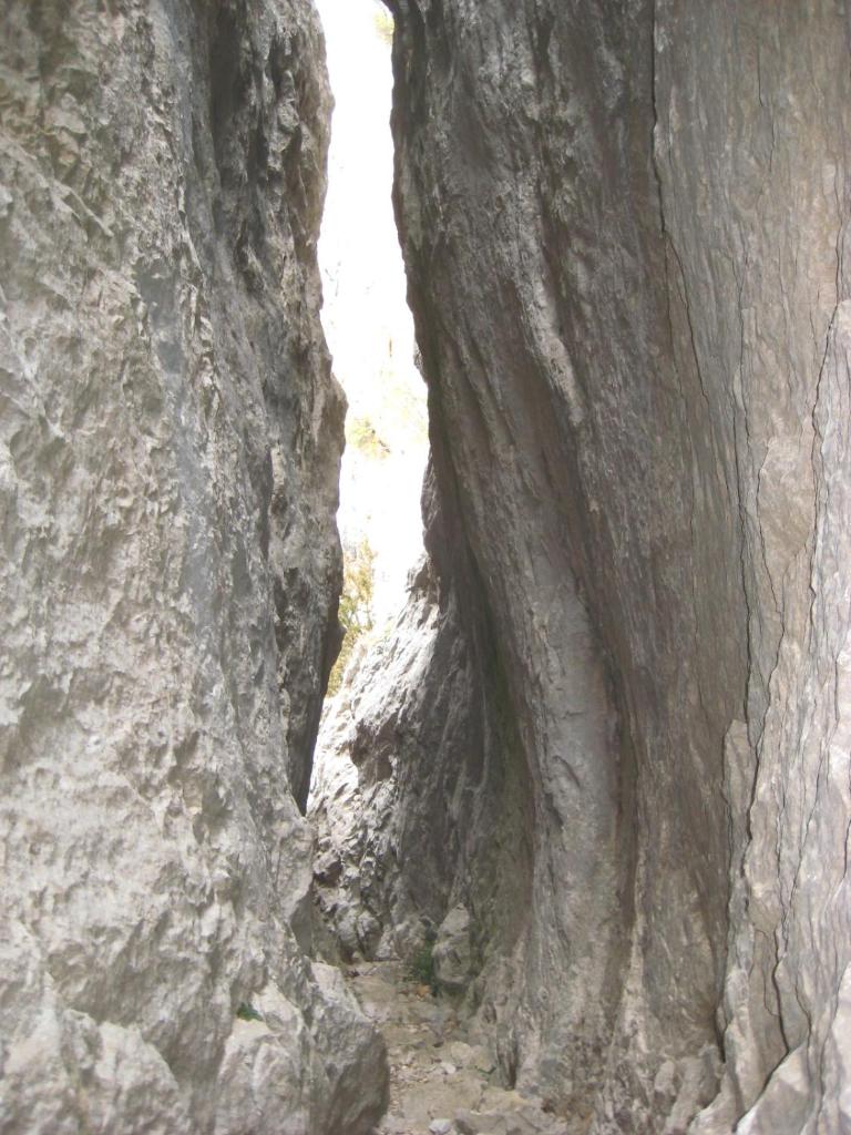 CASA BERNAT photo 3