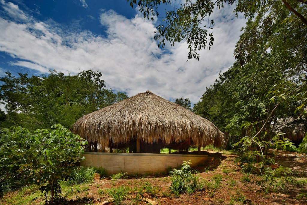 Hotel Waya Guajira photo 4