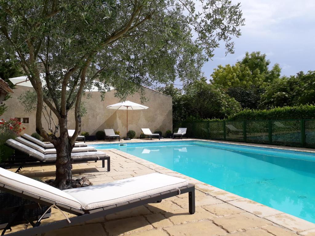 Domaine du Grand Theuillac photo 2