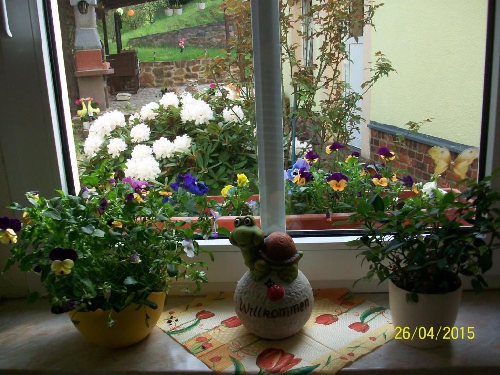 Giesis Wohlfühloase photo 4