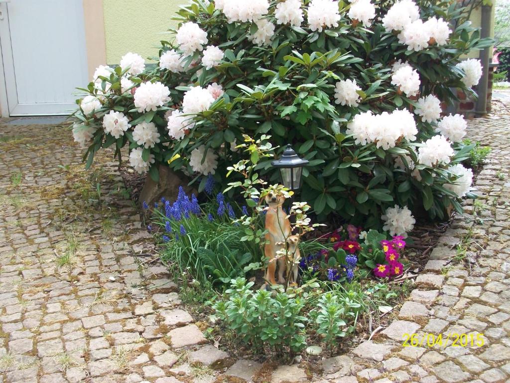 Giesis Wohlfühloase photo 3