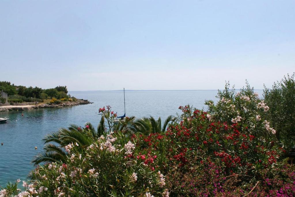 Апартаменты (Апартаменты с 1 спальней, террасой и видом на море), Seaside apartments with a swimming pool Potocnica (Pag) - 6407