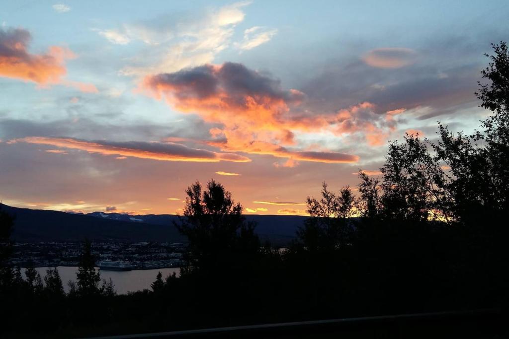 Björkin – Cozy Cabin with excellent view photo 4