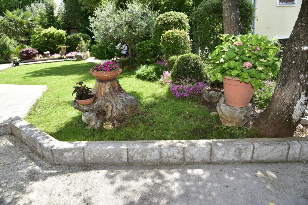 Apartment Blumen Oase photo 3