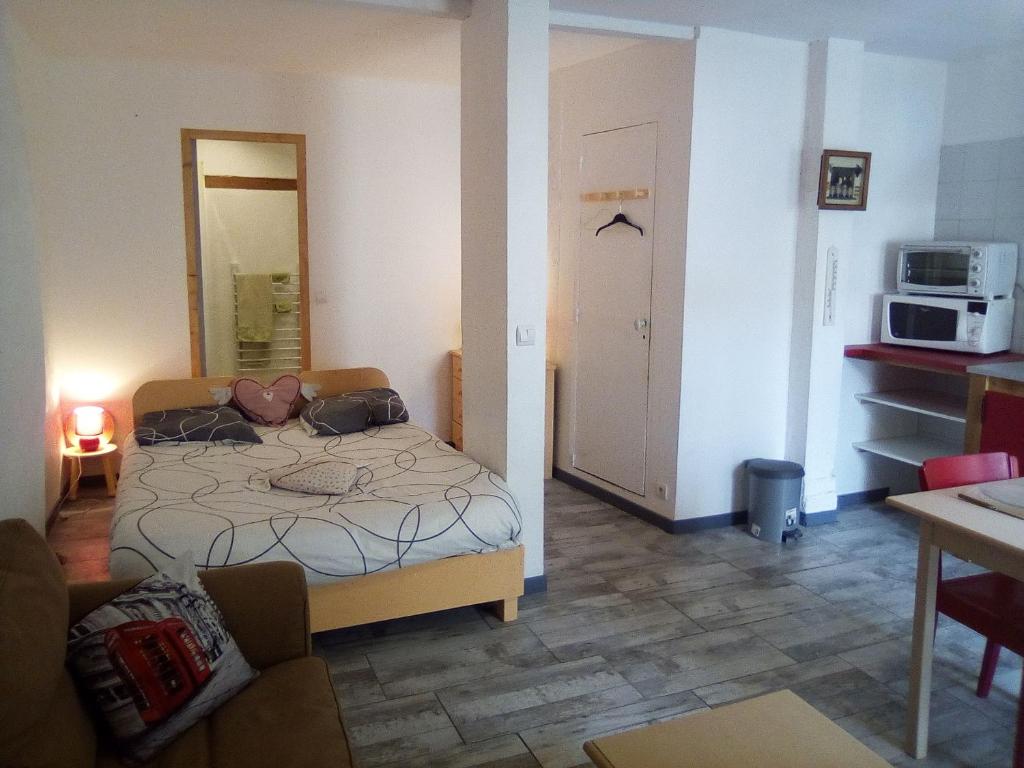 Charmant studio centre ville Mirepoix photo 1
