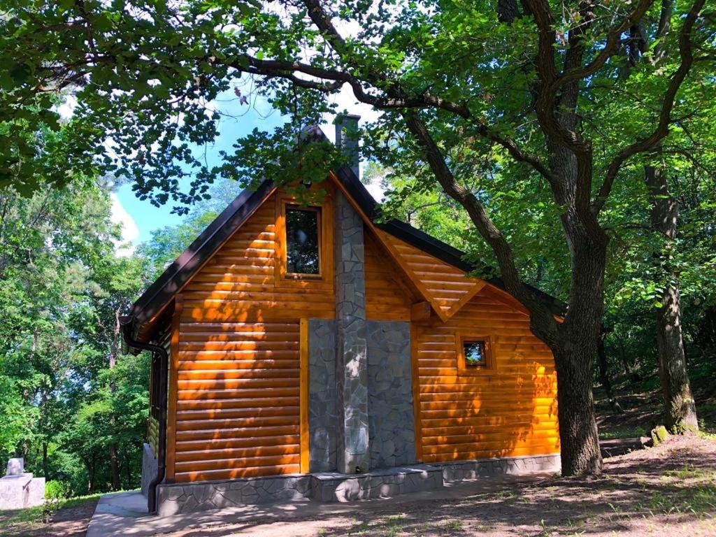 Brvnara Vršac photo 3