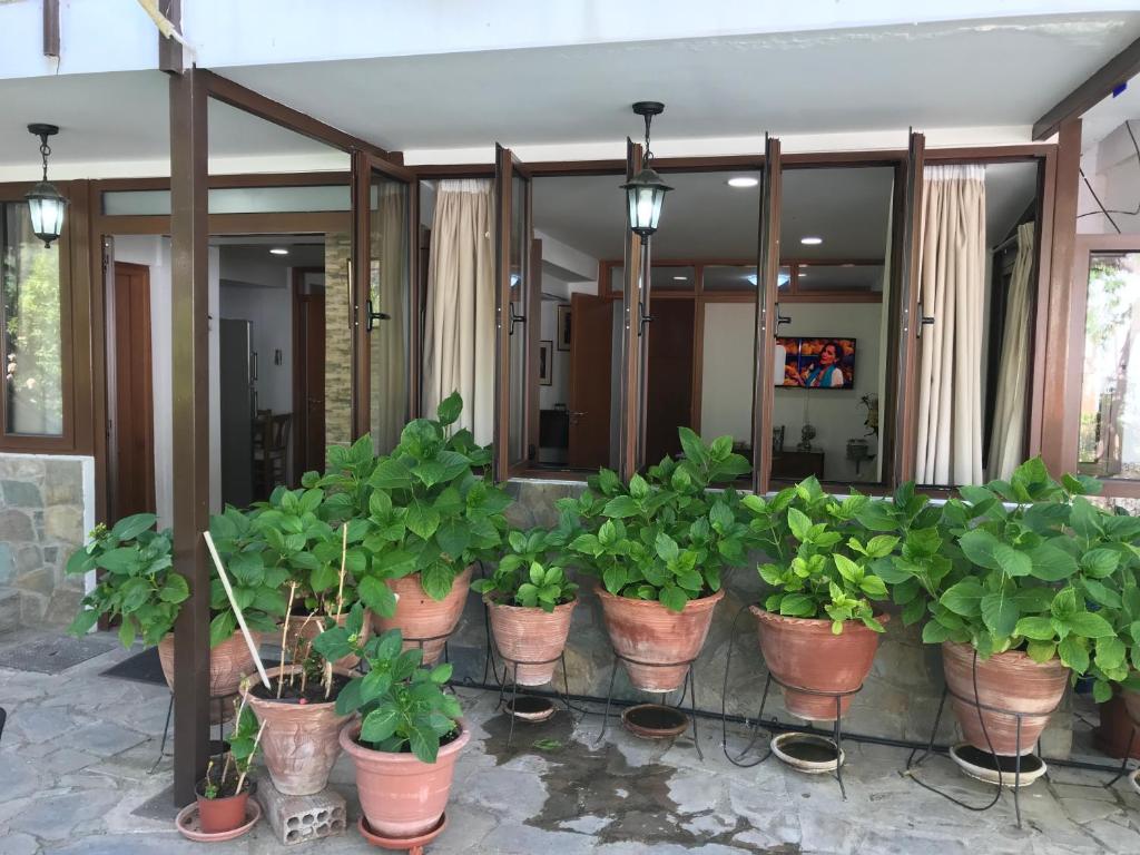 Giannoullas Luxury2Bedroom House in Kalopanagiotis photo 3