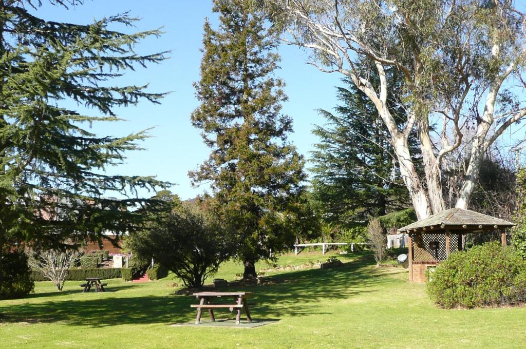 Springs Mittagong photo 3