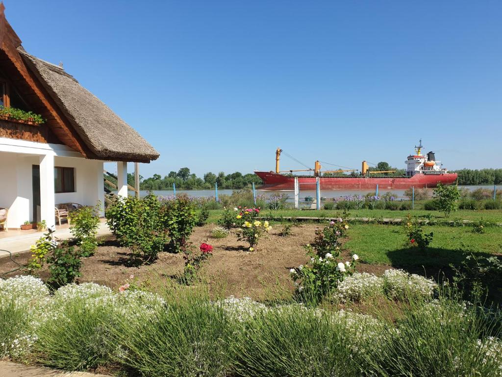 La Raducu photo 1