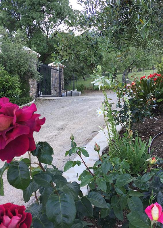 Casa Rural La Bodega photo 1
