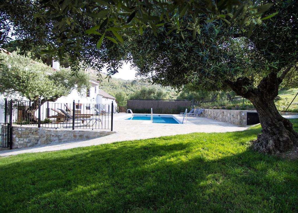 Casa Rural La Bodega photo 3