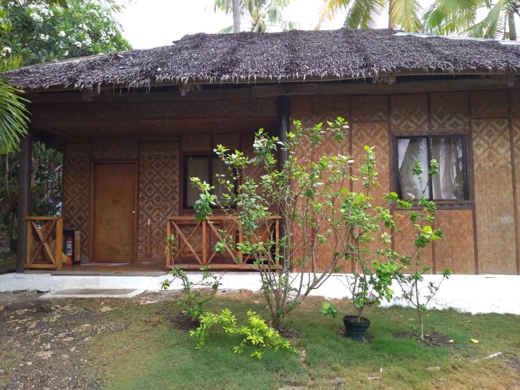 Семейный (Cемейный номер с собственной ванной комнатой), Teobas Homestay