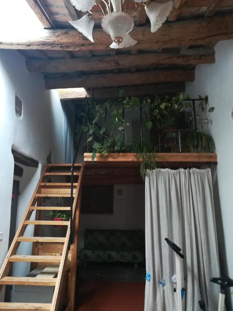 Apartment Luzi photo 1