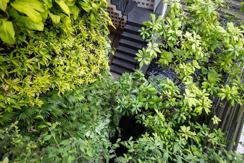 Babylon Garden - a VIE collection