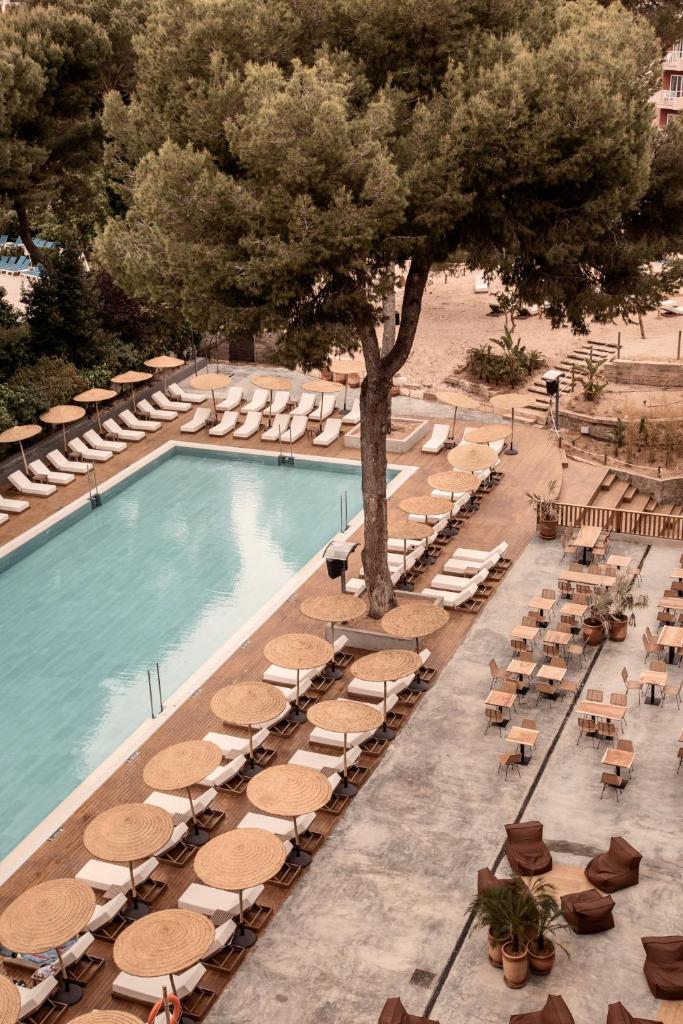 Cooks Club Palma Beach - Adults Only photo 1