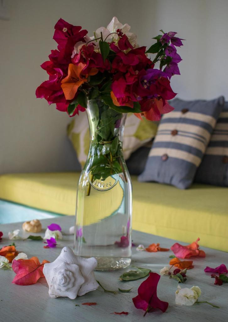 Bungalow Tucul photo 3