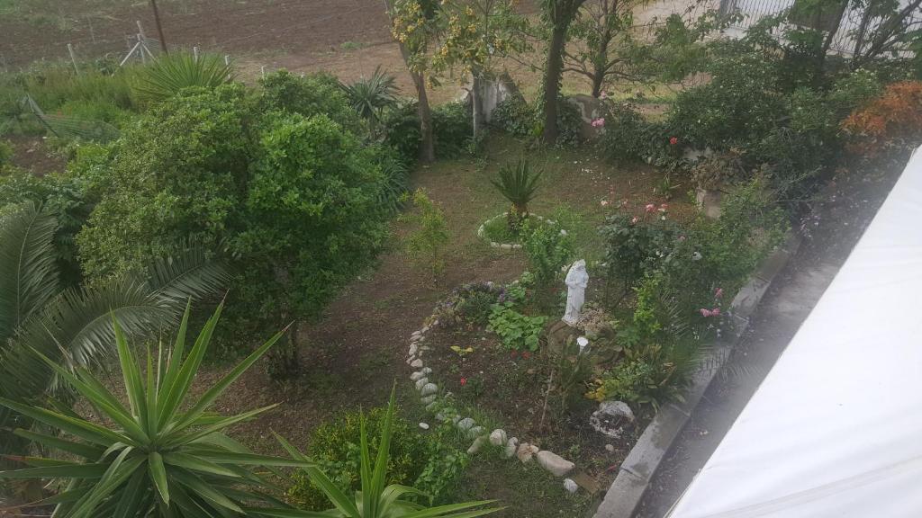 B e B Il Vigneto photo 3