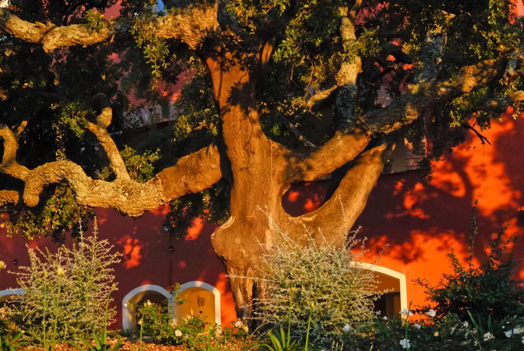 Giardino dei Sugheri photo 3