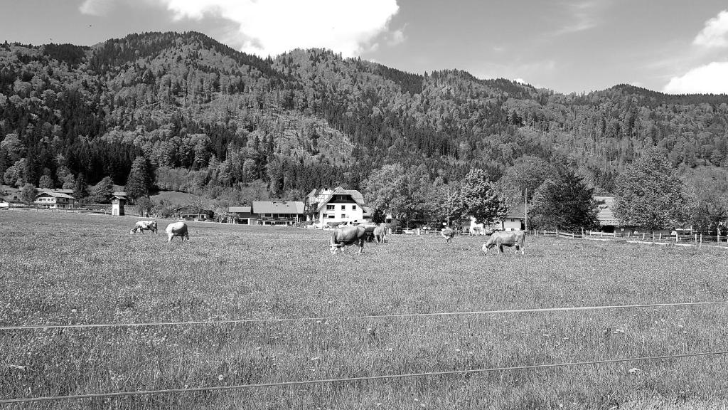 s´Quartier am Schliersee photo 2