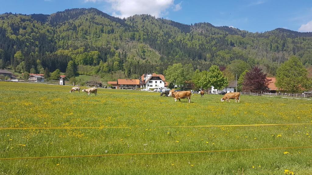 s´Quartier am Schliersee photo 4