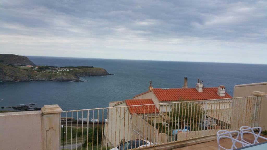 cerbere terrimbo photo 2