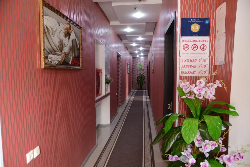 Hotel Like photo 1