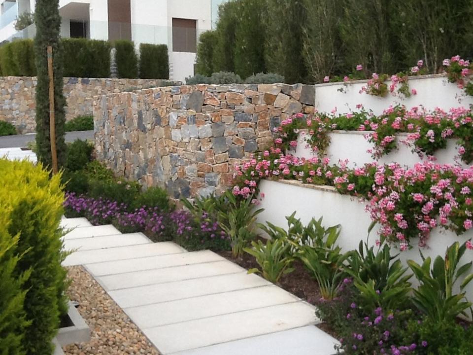 Las Colinas photo 3