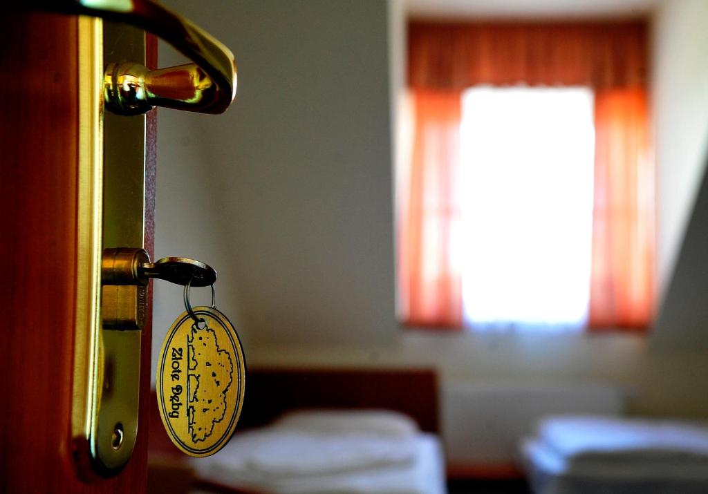 Двухместный (Двухместный номер с 2 отдельными кроватями), Hotel Złote Dęby